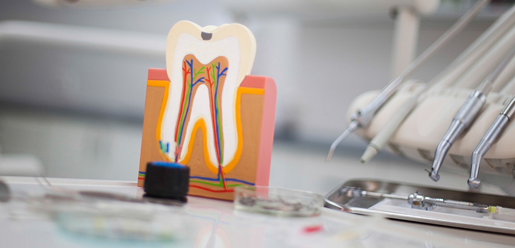 HAESEONG DENTAL CLINIC|신경치료